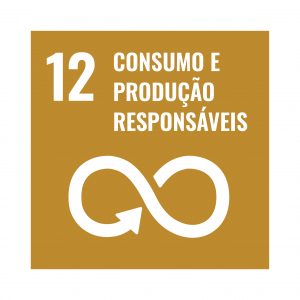 Logo OSD Consumo e produção responsavel