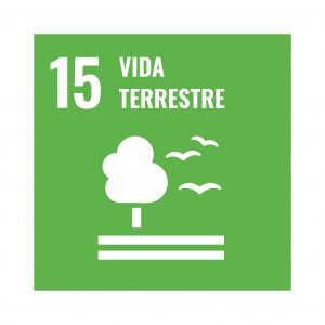 Logo OSD Vida Terrestre